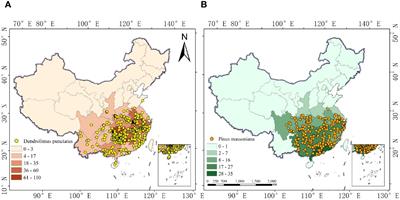 Predicting the potential distribution of Dendrolimus punctatus and its host Pinus massoniana in China under climate change conditions